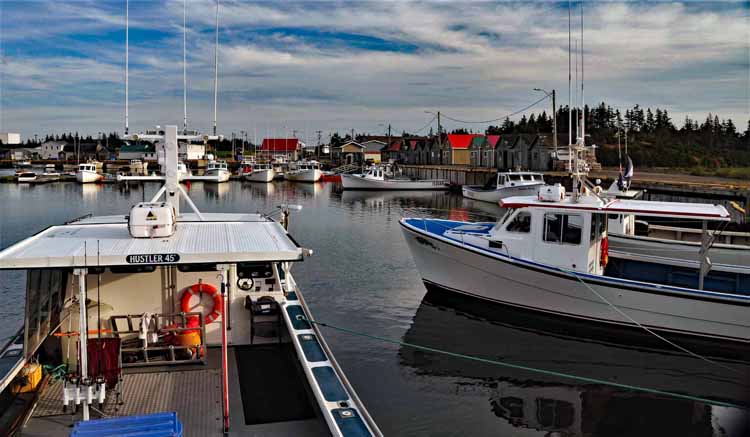 harbor